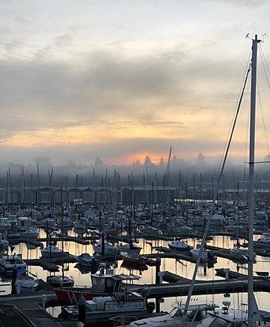 Our Everett Yacht Club view for the evening.